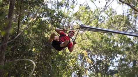 longest zipline in australia|Crazy Rider, Ourimbah State Forest: Australia home .